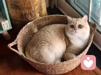 真正的强大，不是能够为每一次跌倒找到完美的借口，而是承认摔得很疼，然后拍拍土，继续前行。配图