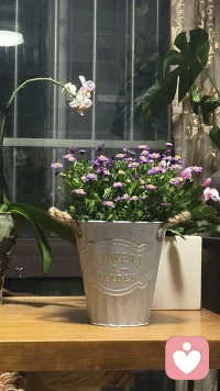 人类的心理不是在真空罐里生长发育，而是在关系的土壤里生根发芽，许多成年人的痛苦不是心理太拥挤(冲突)，而是因为太荒凉(缺失)配图