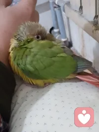 生活就是做自己喜欢的事！放平心态好好爱自己，好好生活，慢慢相遇🍀🍀配图