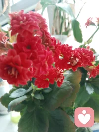 生活就是做自己喜欢的事！放平心态好好爱自己，好好生活，慢慢相遇🍀🍀配图