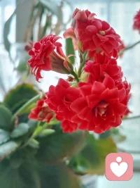 生活就是做自己喜欢的事！放平心态好好爱自己，好好生活，慢慢相遇🍀🍀配图