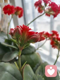 生活就是做自己喜欢的事！放平心态好好爱自己，好好生活，慢慢相遇🍀🍀配图