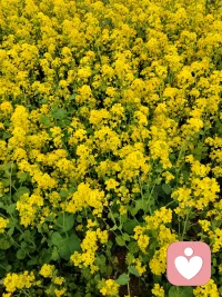 学会孤独，没有谁会把你当宝护着。学会独立，不能再一味的麻烦别人，自己的事自己做。学会绝情，该滚的就滚，该留的就留。学会长大，不能再那么任性。学会忘记，不能活在过去的时光中。

￼