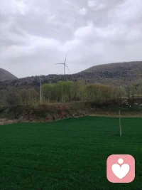 学会孤独，没有谁会把你当宝护着。学会独立，不能再一味的麻烦别人，自己的事自己做。学会绝情，该滚的就滚，该留的就留。学会长大，不能再那么任性。学会忘记，不能活在过去的时光中。

￼