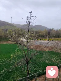 学会孤独，没有谁会把你当宝护着。学会独立，不能再一味的麻烦别人，自己的事自己做。学会绝情，该滚的就滚，该留的就留。学会长大，不能再那么任性。学会忘记，不能活在过去的时光中。

￼