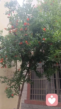 “你要相信，这个世界上总有一束光是为你而亮的。也许它现在还在赶来的路上，也许它正藏在某个不经意的转角。在遇到那个对的人之前，请先好好爱自己。把自己活成一束光，自信坦荡，光芒万丈。当你足够美好时，美好的人和事自然会被你吸引而来。”配图