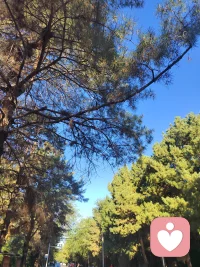 勇敢放下过去的小朋友，会被奖励一个新开始配图