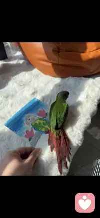 每个人都有自己的角落、安静又辽阔，孤独又踏实。生命久如暗室，不妨碍我明写春诗。配图