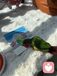 每个人都有自己的角落、安静又辽阔，孤独又踏实。生命久如暗室，不妨碍我明写春诗。配图