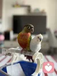 人生，如果找不到方向，那就走向自己配图