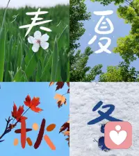 到底是什么伟大前程，值得把每个四季错过配图