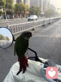 解不开的心结就把它系成蝴蝶结吧！配图