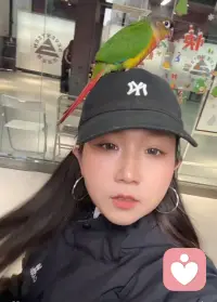 以沉淀，回应时间的温柔。配图