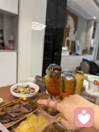 常常撑不住的时候也会想
要是有个靠山就好了可以歇一歇
可以有人替你挡风遮雨

可回头一看
有的山满是荆棘
靠上去只会伤得更重有的山藏着野兽
一不小心就会被撕碎
于是你明白了
不是谁都能成为你的依靠

所以你要学着做自己的那座山
稳一点硬一点
哪怕风吹雨打也不倒哪怕没人靠
你也一定能靠自己撑过去配图
