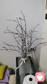 不用追赶别人的节奏，你有自己的时区，慢一点也没关系！