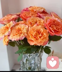 你的所有感受都是合理的！在那样的情境里，谁都会有相似的反应呀~