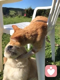 我们好像会爱很多人。但是就是忘了爱自己。