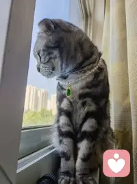 我知道有时候，你只是想找个人好好说话。配图