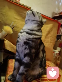 你想得到谁的认可，你就是谁的奴隶。你害怕谁不高兴，你就是谁的奴隶。 ​​​配图