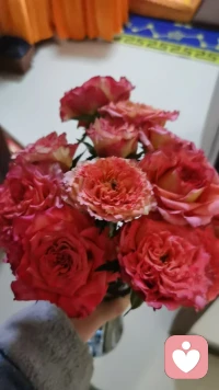 您的专属倾听师已上线，欢迎滴滴。配图