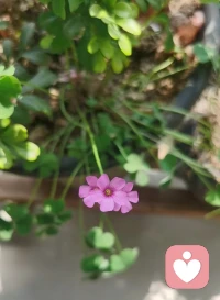 当你因为一件事困扰的时候，可以思考一个问题，就是三年以后这件事还重不重要。

如果三年以后这件事会变得无足轻重，那么这本质上就是一件很小的事情，不值一提。 ​​​