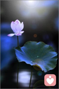 经营关系，本质上就是一个伪命题。

你把时间和钱主要用在自我提升上，然后坚持互利互惠原则，不和不靠谱的人打交道，也不想着占人便宜，你就会过得很好。

关系是一个顺其自然的事情，天天想着经营关系的人，本质上是想走捷径，但实际上是弯路。 ​​​