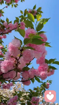 打开心扉，畅所欲言。我们为您提供最安静的聆听空间，让您感受到被尊重和理解的温暖。