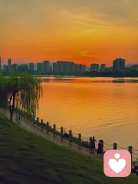 我愿做你情绪的树洞，收纳所有无处安放的言语与叹息