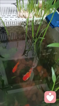 你有多久没好好说过一句心里话了，
那些压在心底的委屈，
无人理解的疲惫，
深夜发涌了情绪，
不用再独自硬扛，
不必假装坚强。