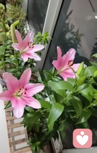 很多自卑，都藏在成长细碎的瞬间里。
习惯性自我否定、害怕被评判、遇事下意识退缩，明明有能力却不敢争取，困在别人的眼光里内耗一生。
自卑从不是与生俱来的缺点，大多是成长里缺认可、缺接纳慢慢形成的心理枷锁。
不必强迫自己瞬间变得开朗强大，心理咨询的意义，就是慢慢拆解内心的自我贬低，看见自身价值，一点点重建自信。
接纳不完美的自己，才是终身成长的开始。
洛欣｜专注个人成长与自卑疏导