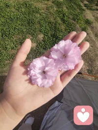 春天到了，大自然给了万物复苏的能量，也给了我们心灵成长的力量！
       加油，让我们共同演绎生命的精彩！