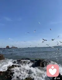 人生不过三万天，别总把自己困在过去的遗憾和未来的焦虑里。好好活在当下，多去感受阳光、草木和山川湖海，让自然的能量滋养自己。适时清空脑袋，不瞎想，不多想，专注当下。所谓水到绝境是飞瀑，人到绝境是重生。愿你脱此枷锁，还自己一个自由身。配图