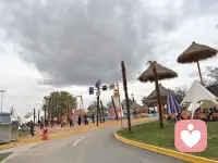 人生不过三万天，别总把自己困在过去的遗憾和未来的焦虑里。好好活在当下，多去感受阳光、草木和山川湖海，让自然的能量滋养自己。适时清空脑袋，不瞎想，不多想，专注当下。所谓水到绝境是飞瀑，人到绝境是重生。愿你脱此枷锁，还自己一个自由身。配图