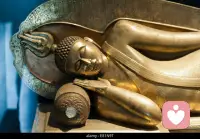 五浊恶世，就是佛陀说我们现在这个世界——烦恼重、痛苦多、知见乱、寿命短、时代差，所以叫“恶世”。
五浊分别是这五个：
 
1. 劫浊（时代浊）
时代越来越差，灾难、战乱、瘟疫、不安定多，整体环境不好。
​
2. 见浊（知见浊）
人的见解乱，邪知邪见多，是非颠倒，不信善、不信因果，越聪明越迷惑。
​
3. 烦恼浊（心念浊）
人心里贪、嗔、痴、慢、疑特别重，天天纠结、生气、攀比、痛苦。
​
4. 众生浊（生命浊）
人的根器差、福报浅、身心不健全，道德、品行、素质整体下滑。
​
5. 命浊（寿命浊）
人的寿命短，一生匆匆忙忙，还没明白就老了、死了，来不及修行。
 
 
 
简单记：
时代乱、见解歪、心里烦、人福薄、寿命短
合起来，就是五浊恶世。配图