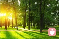 - 林间有光，心中有暖✨
​
- 阳光会穿透迷雾，绿意会治愈一切
​
- 走在这条路上，连呼吸都变得温柔配图