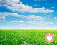 抬头是漫无边际的蓝，脚下是肆意生长的绿，所有的情绪都被风揉碎在云里。
日子慢慢过，心也慢慢变开阔🌿 把烦恼丢进风里，让云带走所有疲惫。
在这片开阔里，终于找回了松弛的自己配图