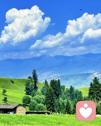 走了很远的路，才发现最舒服的状态，是像这片草原一样，舒展、自在、不慌不忙。
不必追赶什么，风会带来答案，山会给你拥抱。你看世界那么大！别困在自己的小情绪里！配图