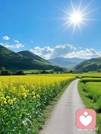 山野万里，阳光满路，油菜花盛开的季节，连心情都染上了金黄！平淡的生活，造就了不平凡我们。配图