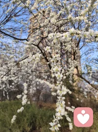 不必急着把所有情绪都整理好，
允许自己有疲惫、有犹豫、有暂时想停下的时刻。
 
那些没说出口的心事，
那些深夜里悄悄翻涌的情绪，
都不是软弱，只是你认真活过的痕迹。配图