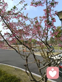 出来看看，总会有些不一样的景色。