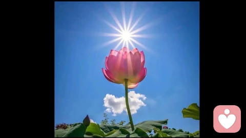 行到水穷处，坐看云起时