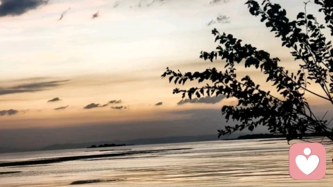 落后的性教育，最终受伤害的是谁？