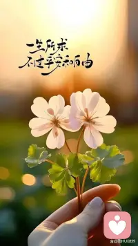 作为倾听师，我始终相信“每个生命都了不起”。
生命本是一棵长满可能的树，从不是达成了世俗标准才值得被看见。每个人都有迷茫、脆弱与挣扎，也都藏着向上生长的力量，都怀揣着自我超越的向往，也都拥有自我超越的可能。

我愿做安静的倾听者，不评判、不定义，只用心接住你的情绪，陪你看见自己的珍贵，陪你在属于自己的节奏里，慢慢生长、慢慢发光。配图