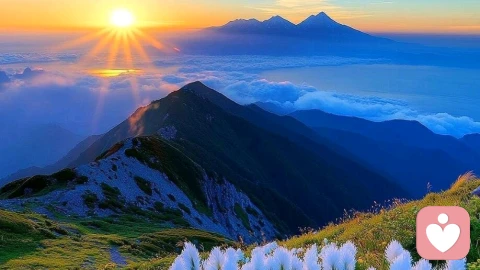 所谓低情商，不是笨，而是让人不舒服