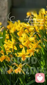 早安 | ᴍᴏʀɴɪɴɢ〰
做人要做有效果的事，
别只顾着做有效率的事；
有效果的事哪怕不擅长，
做了也有实实在在的结果，
高效的事就算做得顺，
没意义也是白忙活。
普通人的日子，
拼的从来都是实打实的收获。
愿你选对事，做对事，务实前行！配图