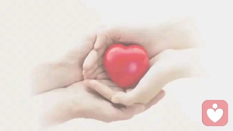 育儿先爱己：基于发展心理学与家庭系统理论的专业深度论证