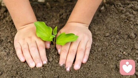 看见孩子：以专业与温柔，拥抱真实立体完整的生命