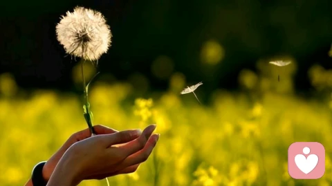 其实我们都是那个需要被疗愈的人——从原生家庭到社会丛林的心灵巡礼