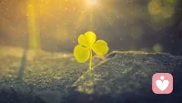 何为对的人？一见你，就笑的人；一见，你就笑的人。
 
杨绛先生说：你喜欢吃草莓，你会毫不犹豫地买下它，如果你不喜欢吃香蕉，但考虑到香蕉助消化，你还是会买它。
 
所以，喜欢是单纯的，不喜欢，才会权衡利弊，在你犹豫的一瞬间，其实已经做出了选择。配图