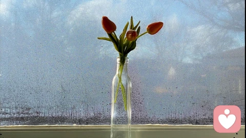 不要活在别人的期待里：挣脱外界规训，重建自我主体性